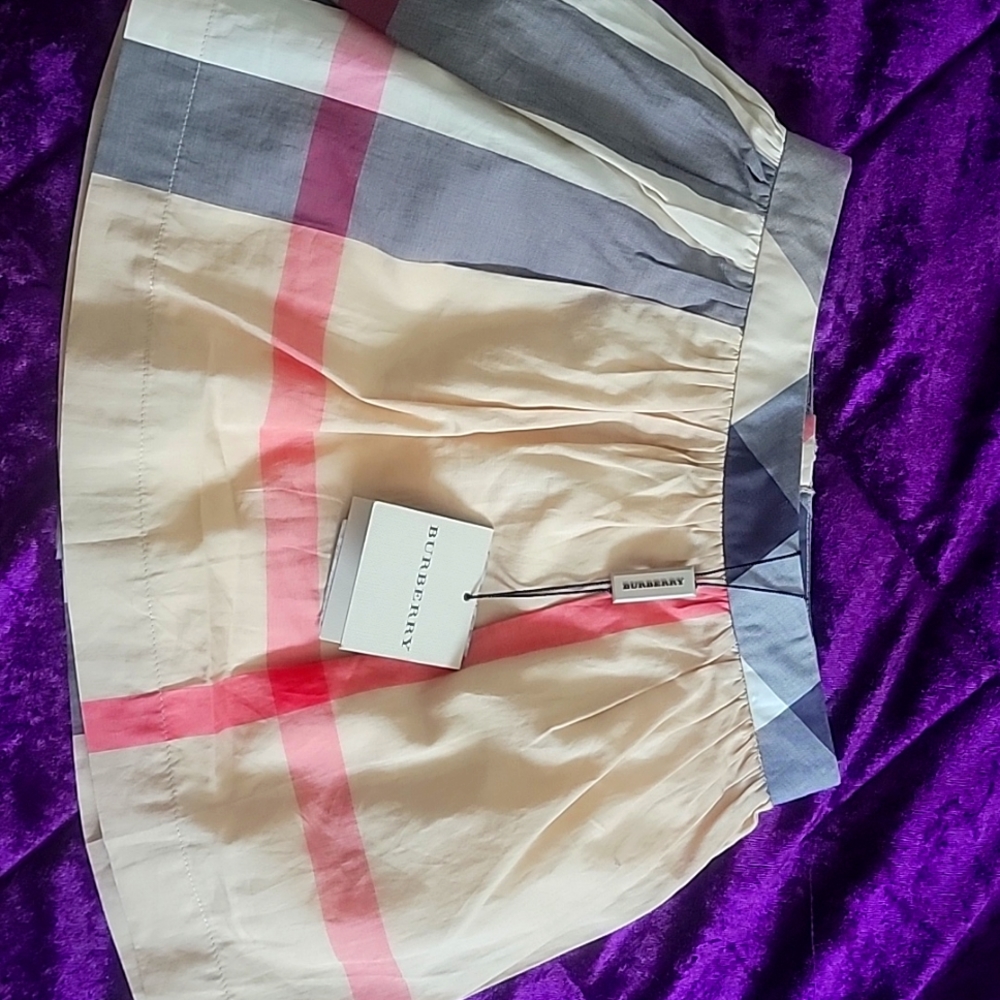 Burberry Skirt